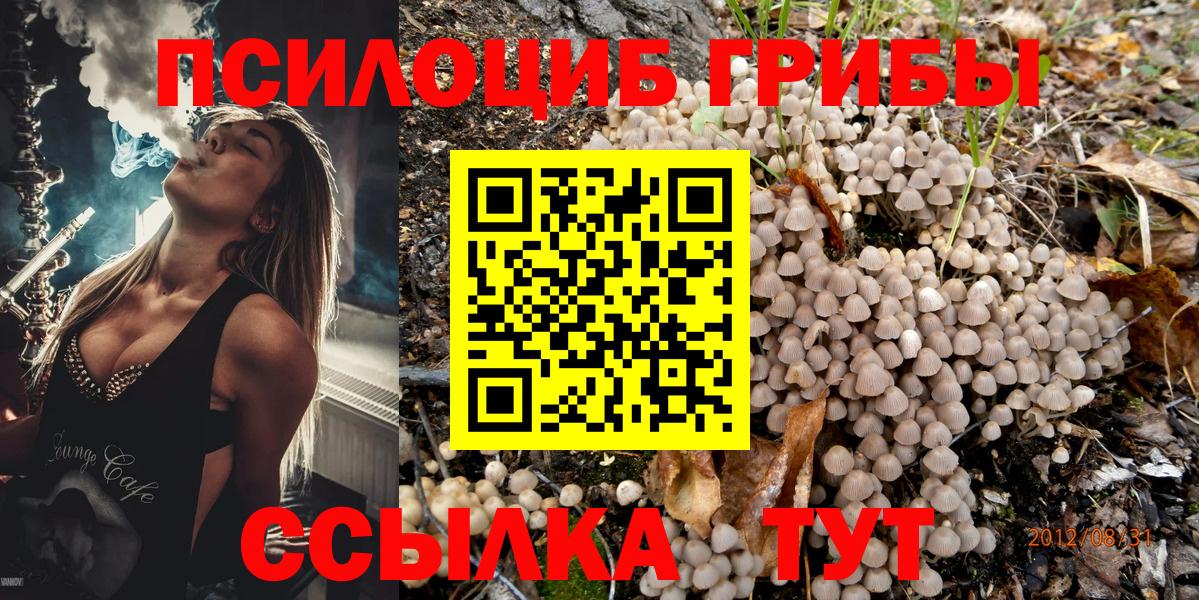Галлюциногенные грибы GOLDEN TEACHER  Вход с VPN  Мирный 